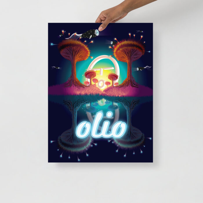 O Face in the wild Poster